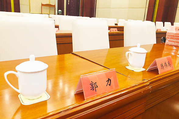 区域卒中中心建设(河北)培训会